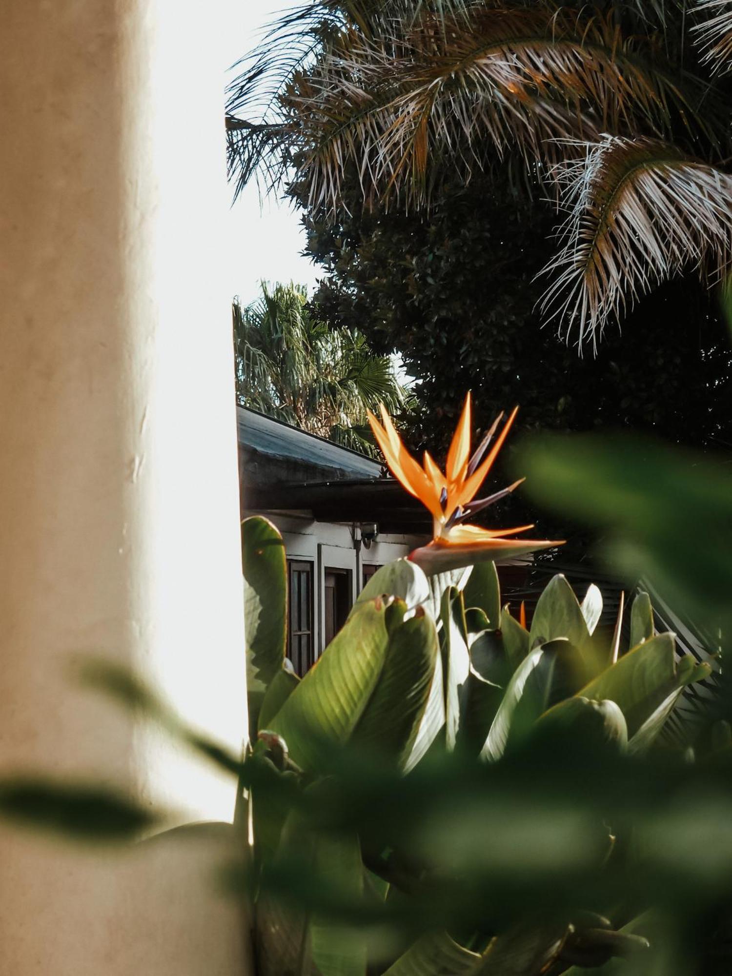 King George'S Guest House Port Elizabeth Buitenkant foto